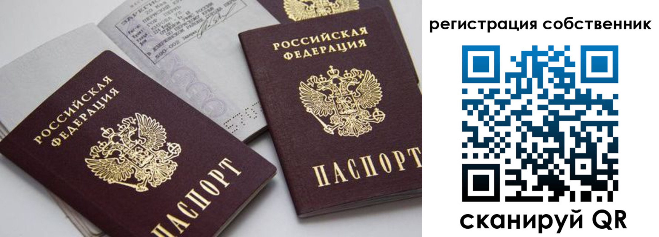 временная регистрация 2025 в Петропавловске-Камчатском
